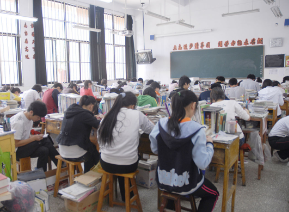 小小設計師用廢舊紙盒搭建未來之家讓思維的種子在現實土壤中扎根